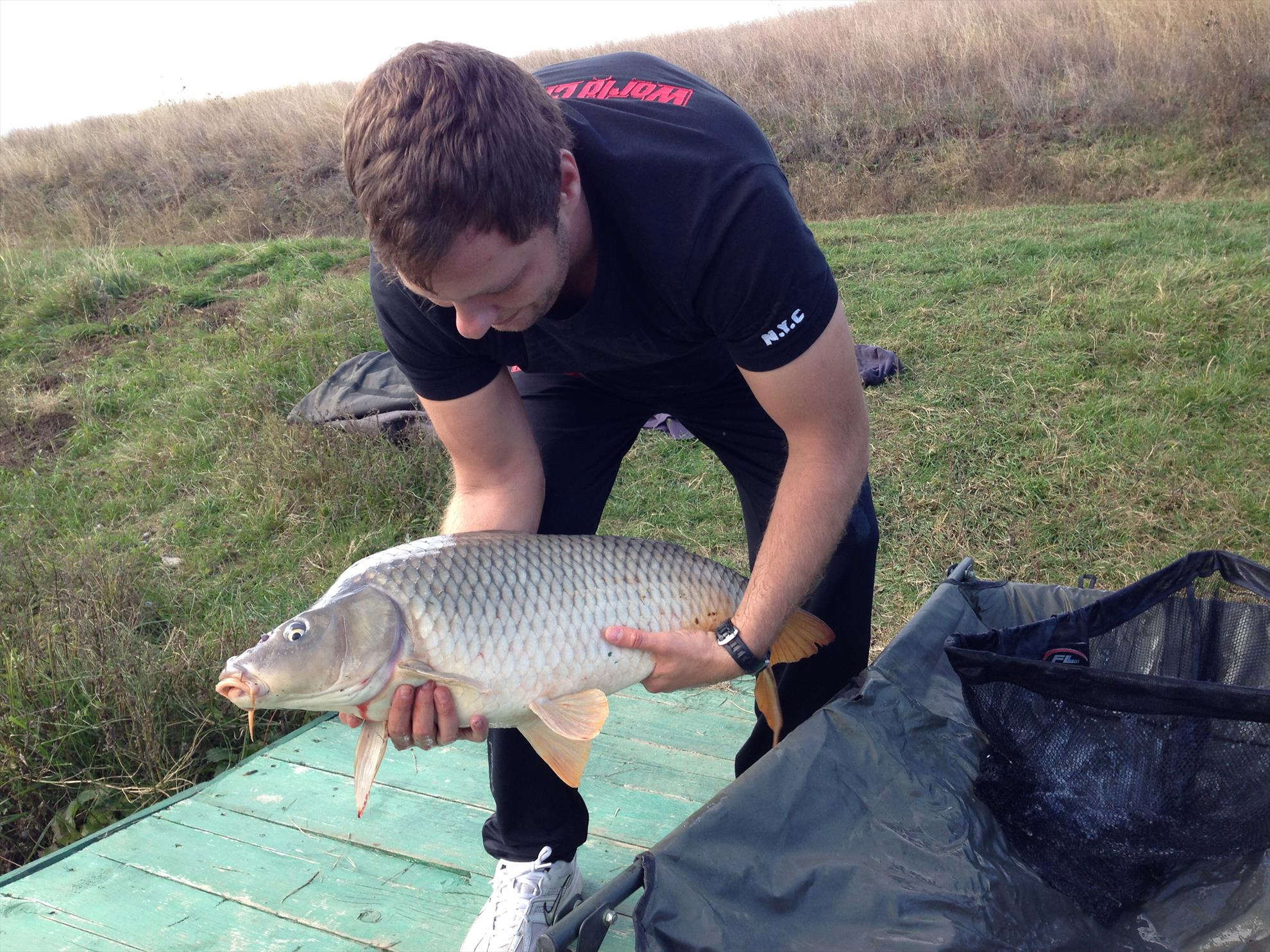 De pe balta adunate - image111111111111111111111.jpg